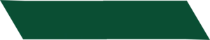 dark green website background